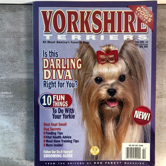 Yorkshire Terriers All About America's Favorite Dogs Magazine - Picture 3 of 6